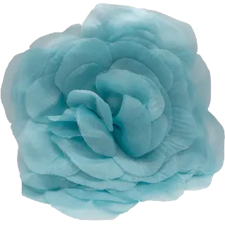 Camellia Blue